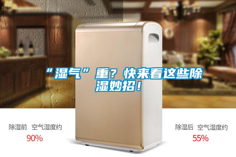 “濕氣”重？快來(lái)看這些除濕妙招！