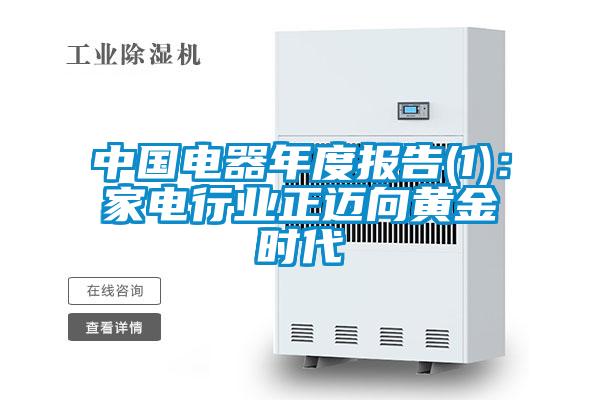 中國電器年度報告(1)：家電行業正邁向黃金時代