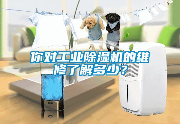 你對工業(yè)除濕機的維修了解多少？