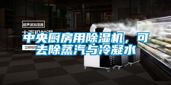 中央廚房用除濕機，可去除蒸汽與冷凝水