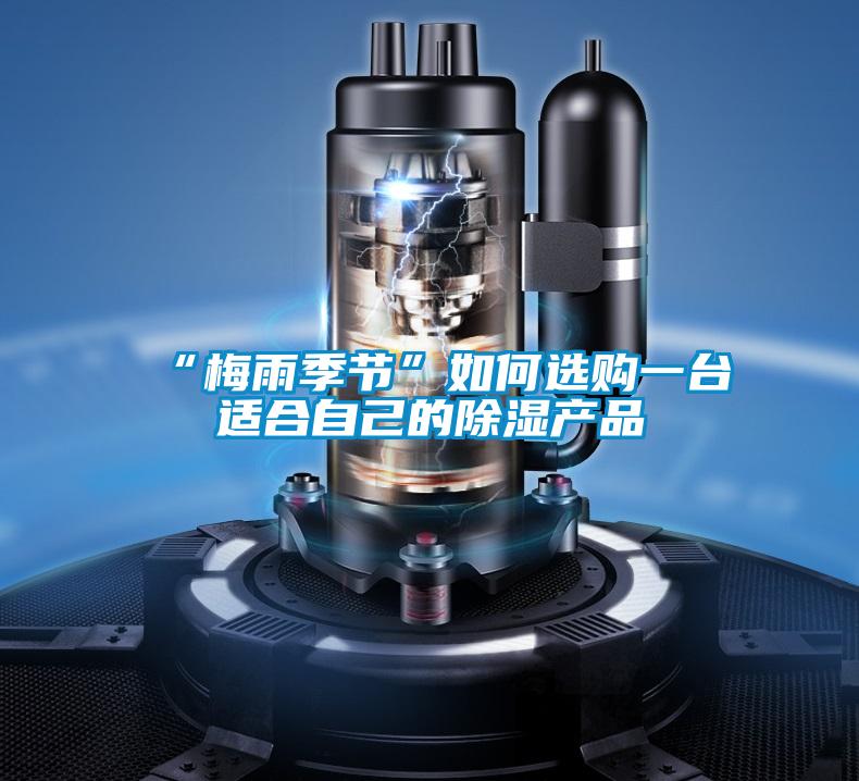 “梅雨季節”如何選購一臺適合自己的除濕產品