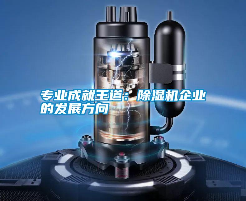 專業成就王道：除濕機企業的發展方向