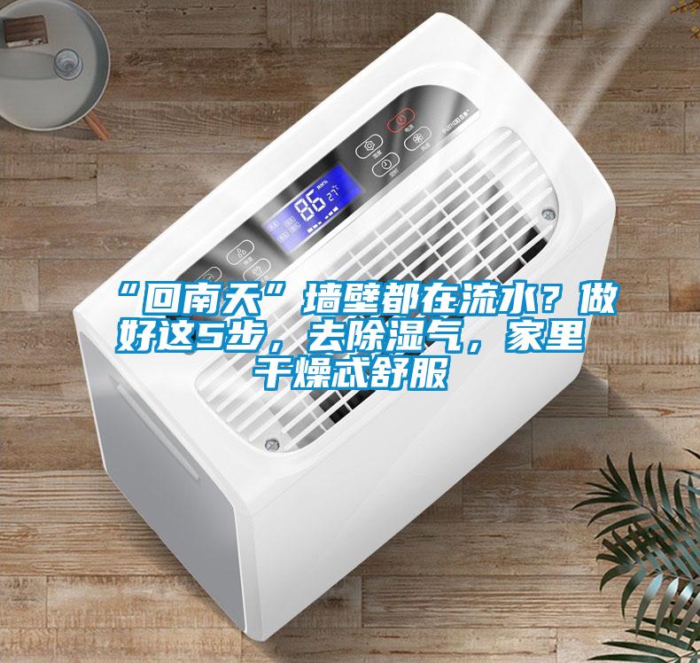 “回南天”墻壁都在流水？做好這5步，去除濕氣，家里干燥忒舒服