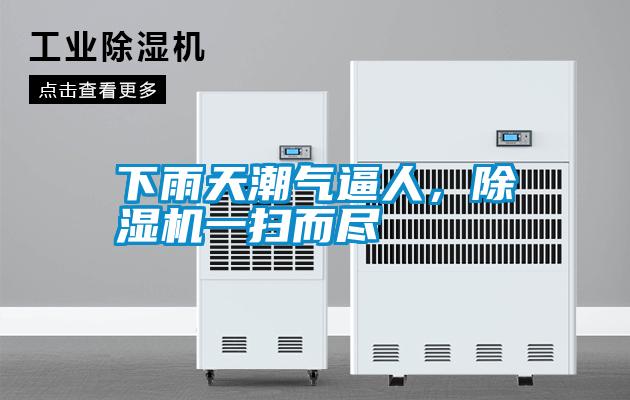 下雨天潮氣逼人，除濕機一掃而盡