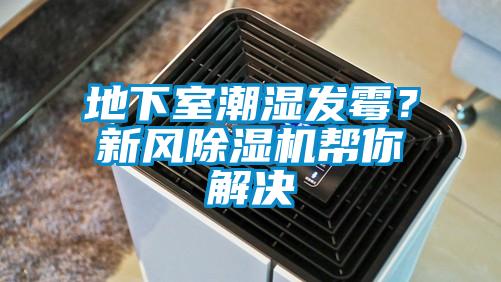 地下室潮濕發霉？新風除濕機幫你解決