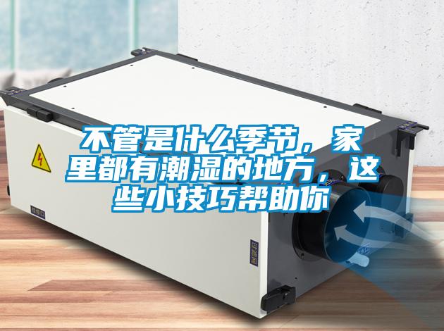不管是什么季節(jié)，家里都有潮濕的地方，這些小技巧幫助你