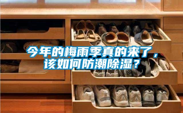 今年的梅雨季真的來了，該如何防潮除濕？