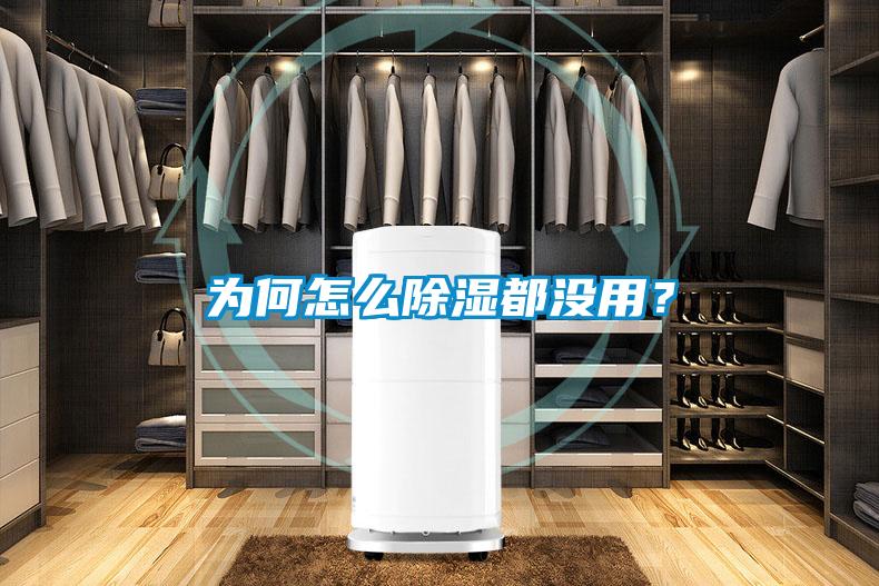 為何怎么除濕都沒(méi)用？