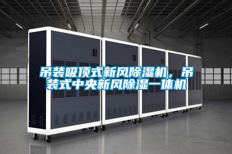 吊裝吸頂式新風除濕機，吊裝式中央新風除濕一體機