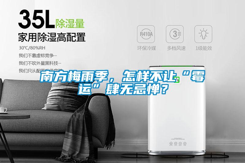 南方梅雨季，怎樣不讓“霉運”肆無忌憚？