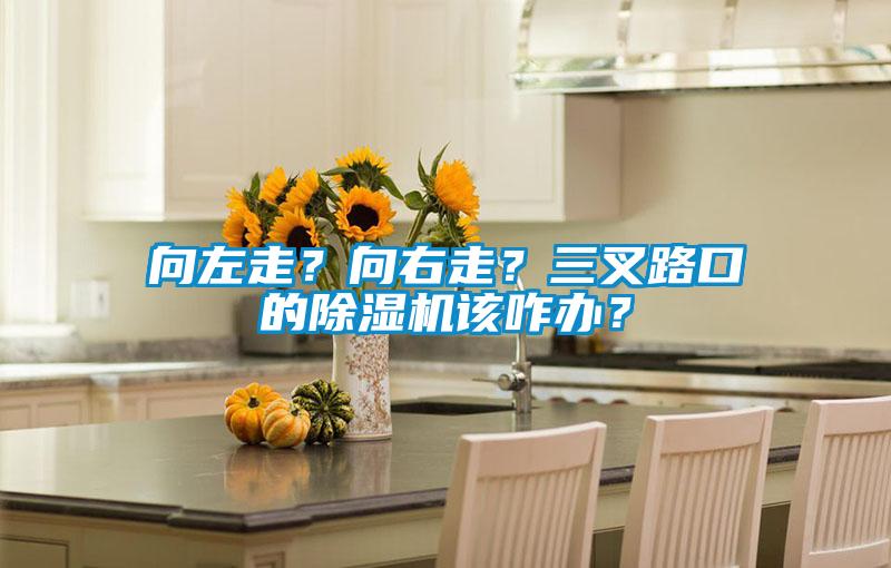 向左走？向右走？三叉路口的除濕機該咋辦？