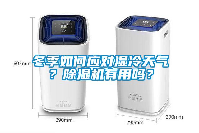 冬季如何應對濕冷天氣？除濕機有用嗎？