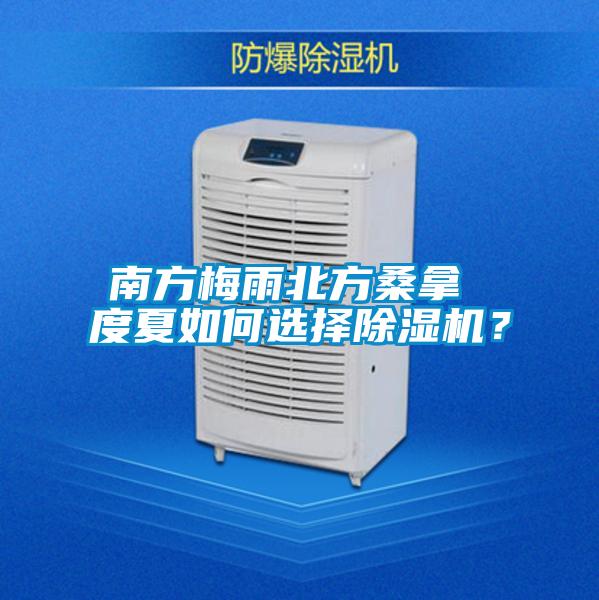 南方梅雨北方桑拿 度夏如何選擇除濕機？