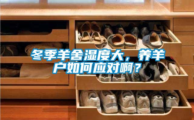 冬季羊舍濕度大，養(yǎng)羊戶如何應(yīng)對(duì)啊？