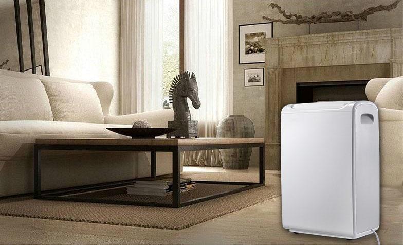 安詩(shī)曼除濕機(jī)解決泳池問(wèn)題