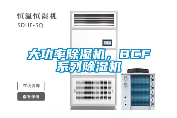 大功率除濕機，BCF系列除濕機