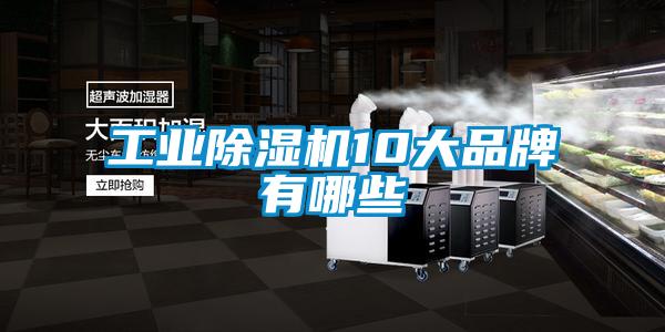 工業除濕機10大品牌有哪些