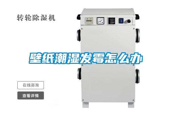 壁紙潮濕發霉怎么辦