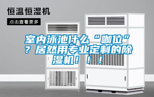 室內泳池什么“咖位”？居然用專業定制的除濕機！！！