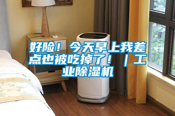 好險(xiǎn)！今天早上我差點(diǎn)也被吃掉了！｜工業(yè)除濕機(jī)