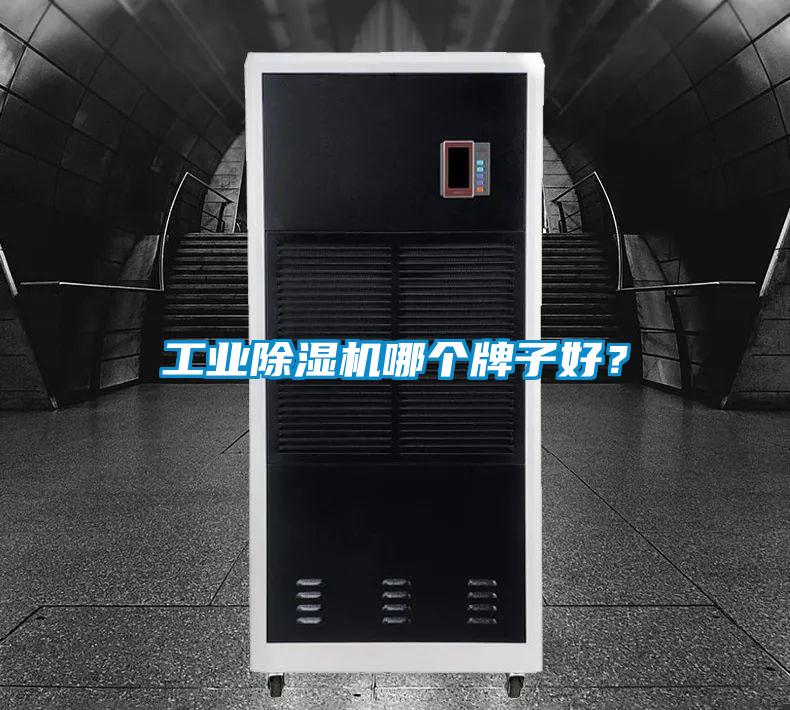 工業除濕機哪個牌子好？