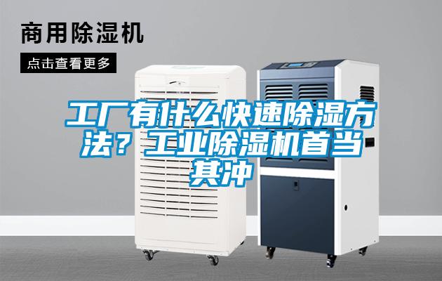 工廠有什么快速除濕方法？工業除濕機首當其沖
