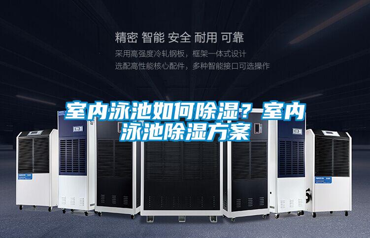 室內泳池如何除濕？室內泳池除濕方案