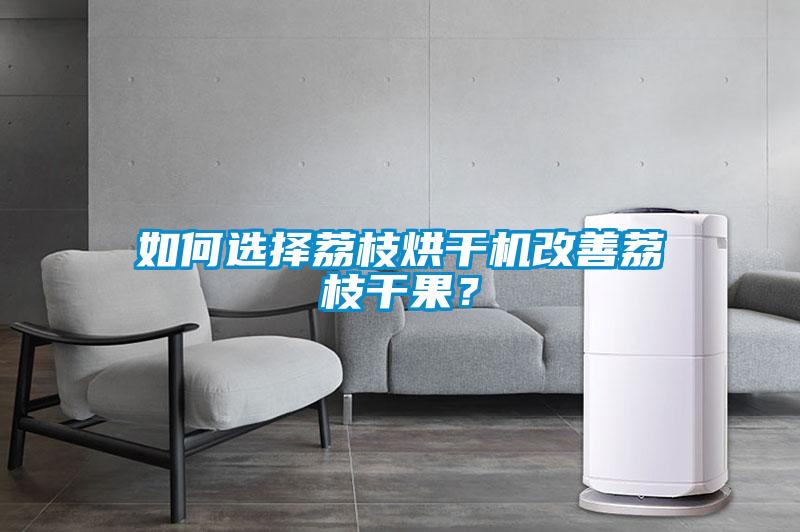 如何選擇荔枝烘干機改善荔枝干果？