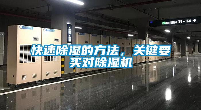 快速除濕的方法，關鍵要買對除濕機