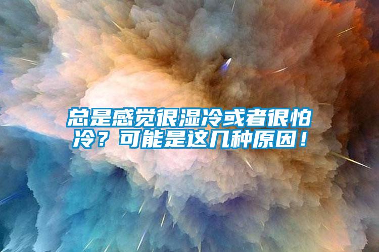 總是感覺很濕冷或者很怕冷？可能是這幾種原因！