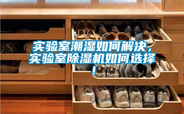 實驗室潮濕如何解決，實驗室除濕機如何選擇！