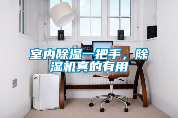 室內除濕一把手，除濕機真的有用