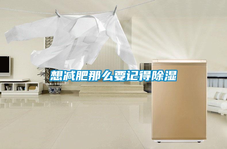 想減肥那么要記得除濕