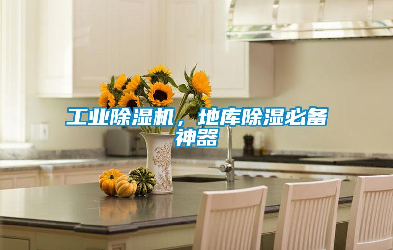 工業(yè)除濕機(jī)，地庫除濕必備神器