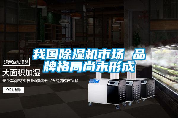 我國除濕機(jī)市場(chǎng) 品牌格局尚未形成