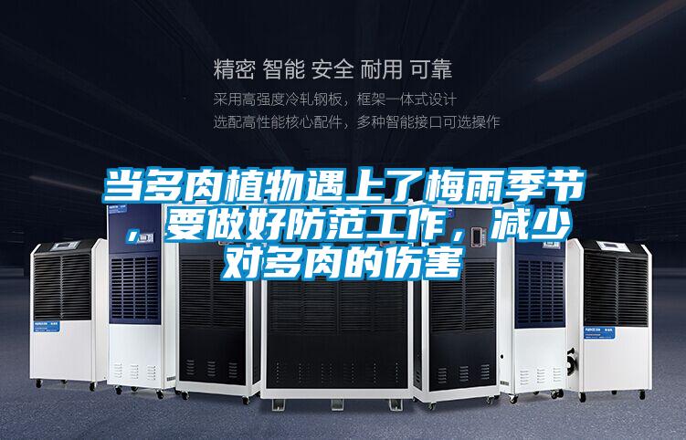 當多肉植物遇上了梅雨季節，要做好防范工作，減少對多肉的傷害