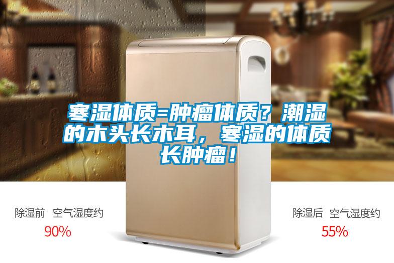 寒濕體質(zhì)=腫瘤體質(zhì)?潮濕的木頭長木耳,寒濕的體質(zhì)長腫瘤!