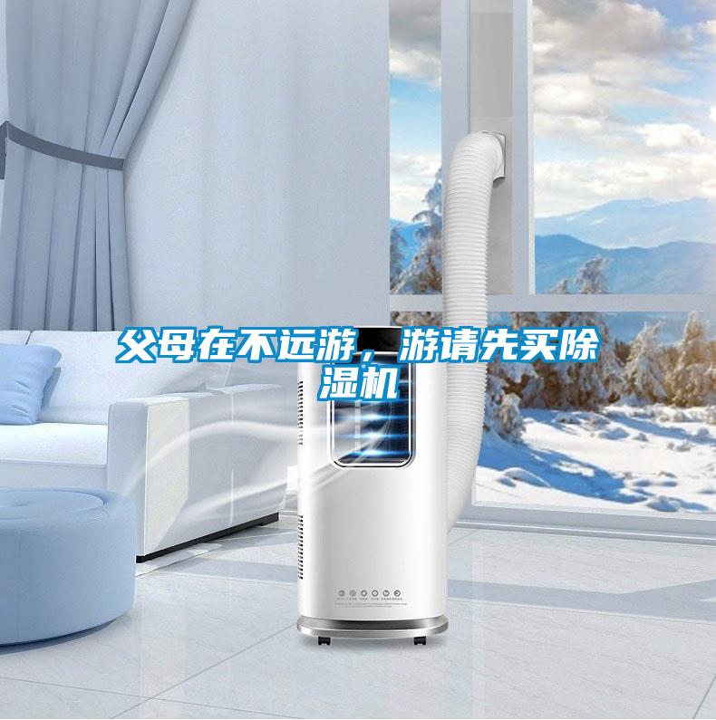 父母在不遠(yuǎn)游，游請先買除濕機(jī)