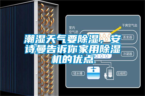 潮濕天氣要除濕，安詩曼告訴你家用除濕機的優點