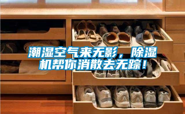 潮濕空氣來無影，除濕機幫你消散去無蹤！