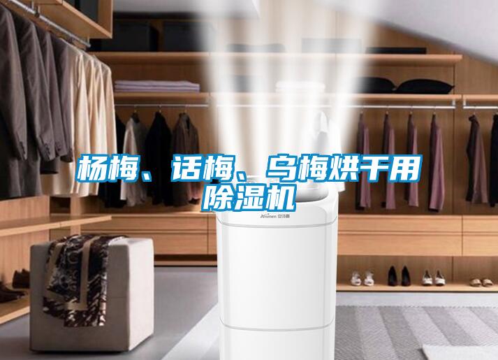 楊梅、話梅、烏梅烘干用除濕機(jī)
