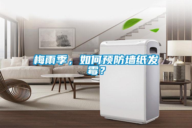 梅雨季，如何預防墻紙發霉？