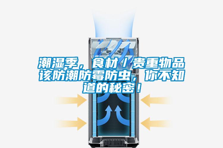 潮濕季，食材／貴重物品該防潮防霉防蟲，你不知道的秘密！