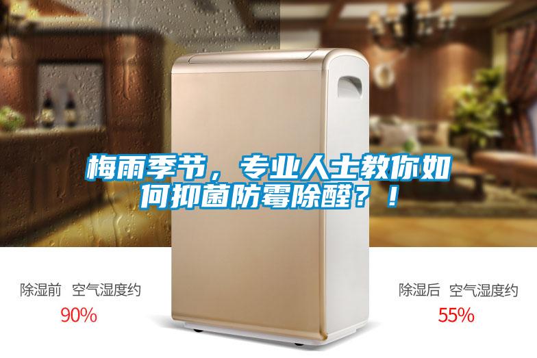 梅雨季節，專業人士教你如何抑菌防霉除醛？！