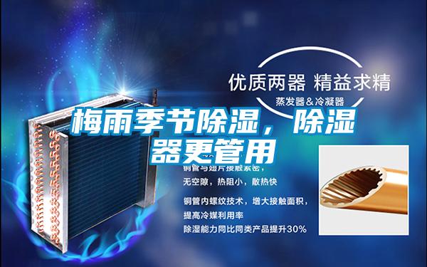 梅雨季節除濕，除濕器更管用