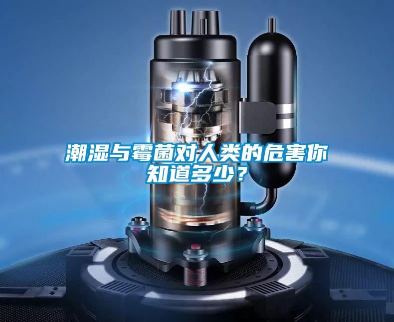 潮濕與霉菌對人類的危害你知道多少？