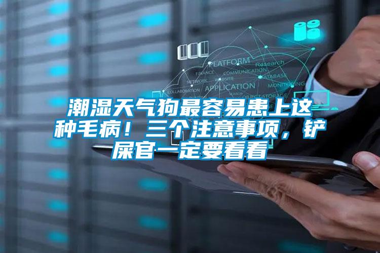 潮濕天氣狗最容易患上這種毛病！三個(gè)注意事項(xiàng)，鏟屎官一定要看看