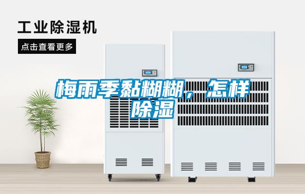 梅雨季黏糊糊，怎樣除濕