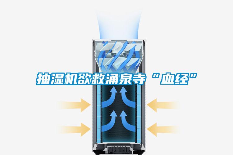 抽濕機(jī)欲救涌泉寺“血經(jīng)”