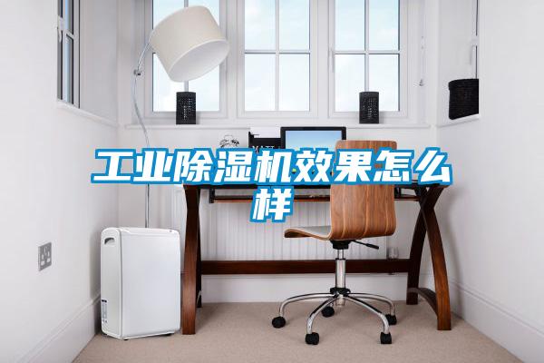 工業除濕機效果怎么樣